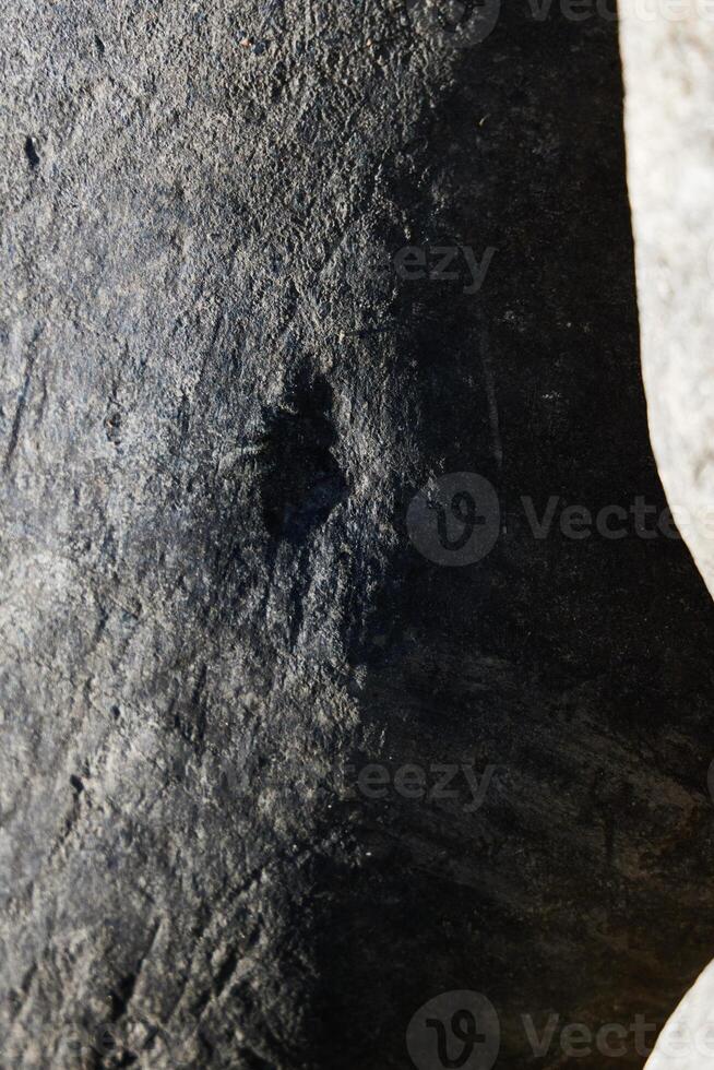 A CloseUp View of a Textured Surface Featuring Distinct Dark Markings and Patterns photo