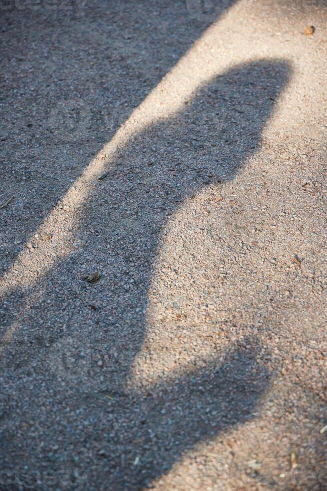 Shadow Play on a Gravel Pathway with Beautiful Colors and Breathtaking Composition photo
