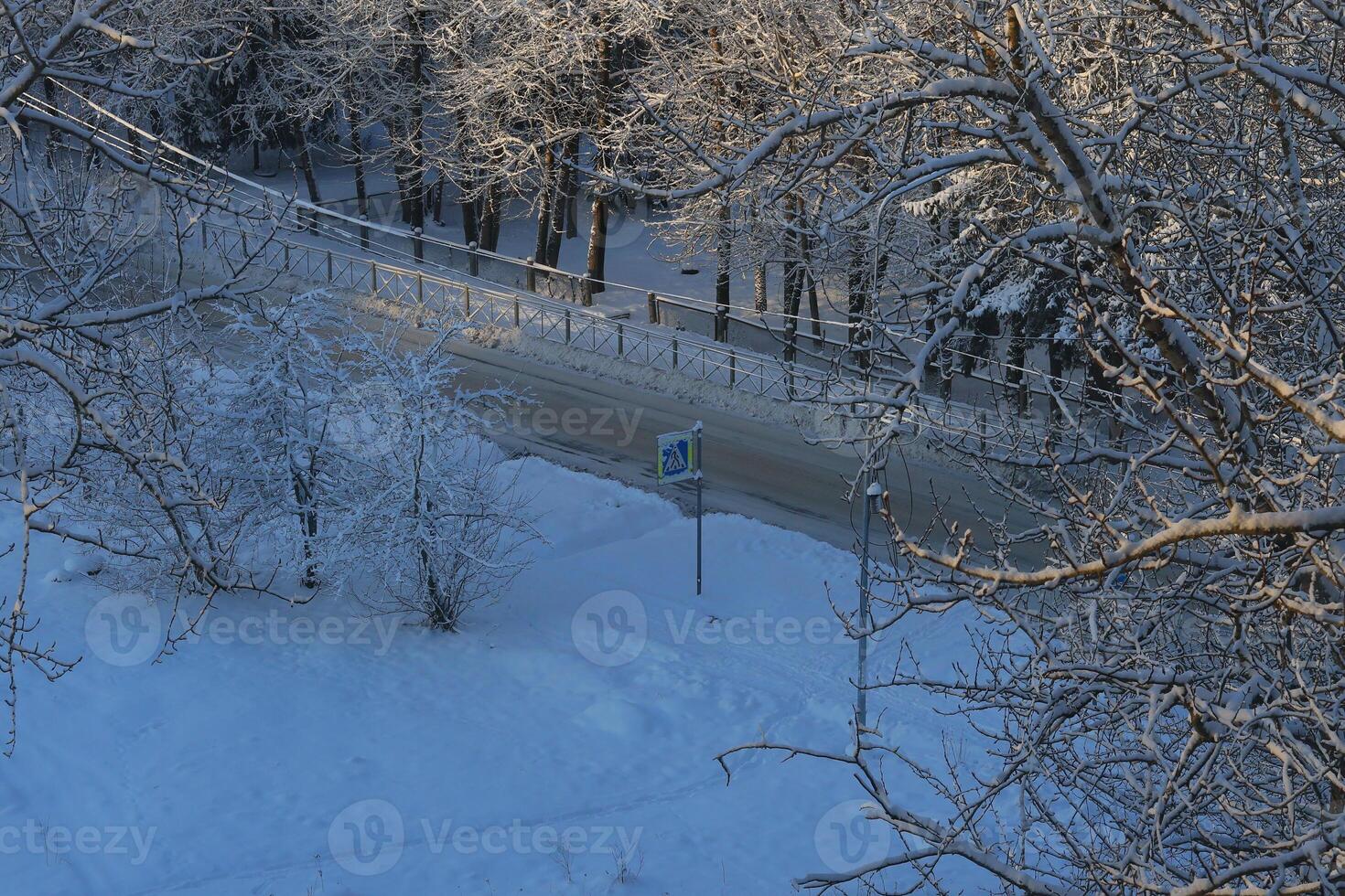 Winter Wonderland A Scene of SnowCovered Trees Lining a Quiet, Snowy Road Ahead photo