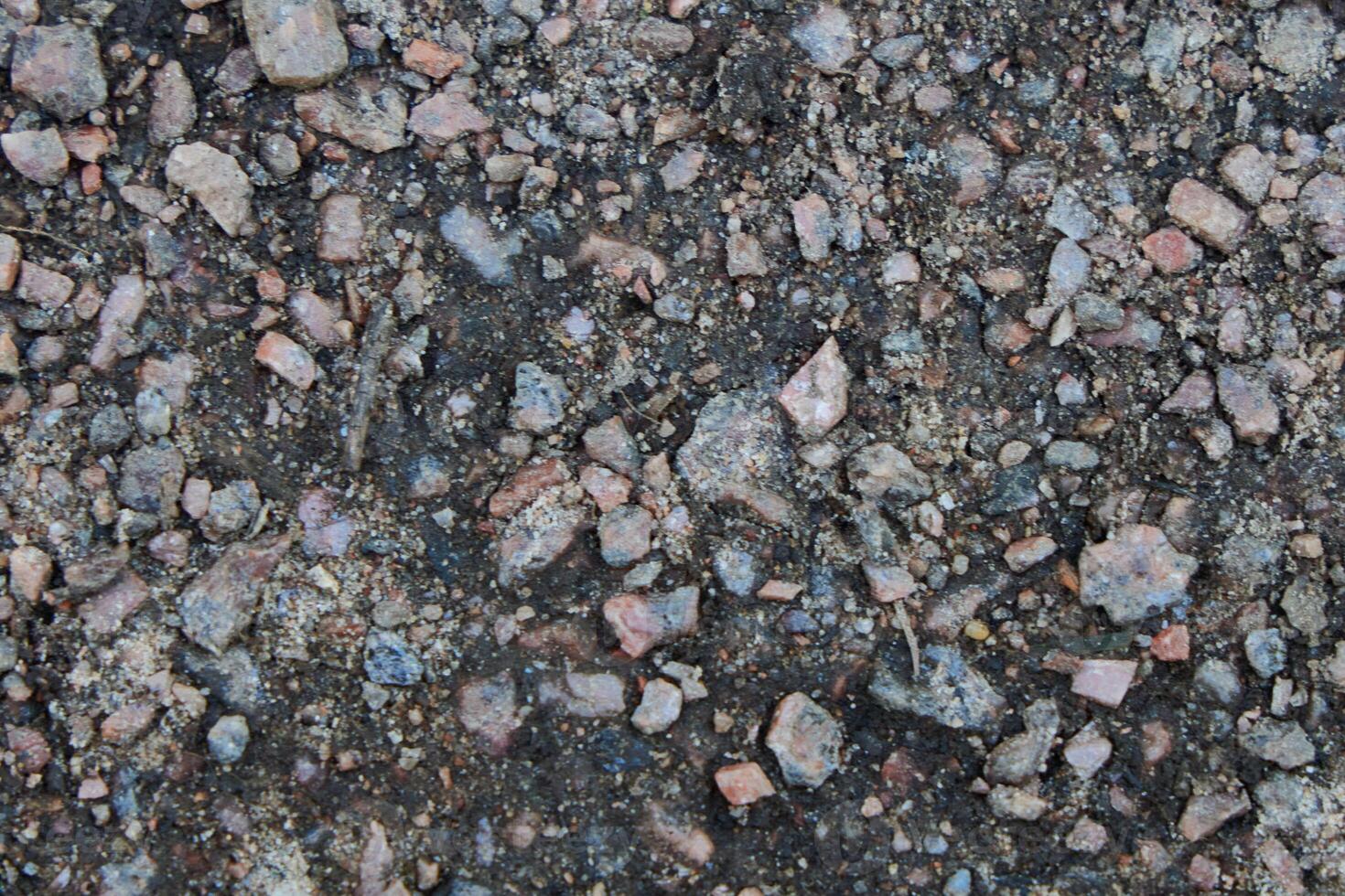 A Detailed CloseUp Image Showcasing a Variety of Gravel and Stones Spread Across the Ground Surface photo
