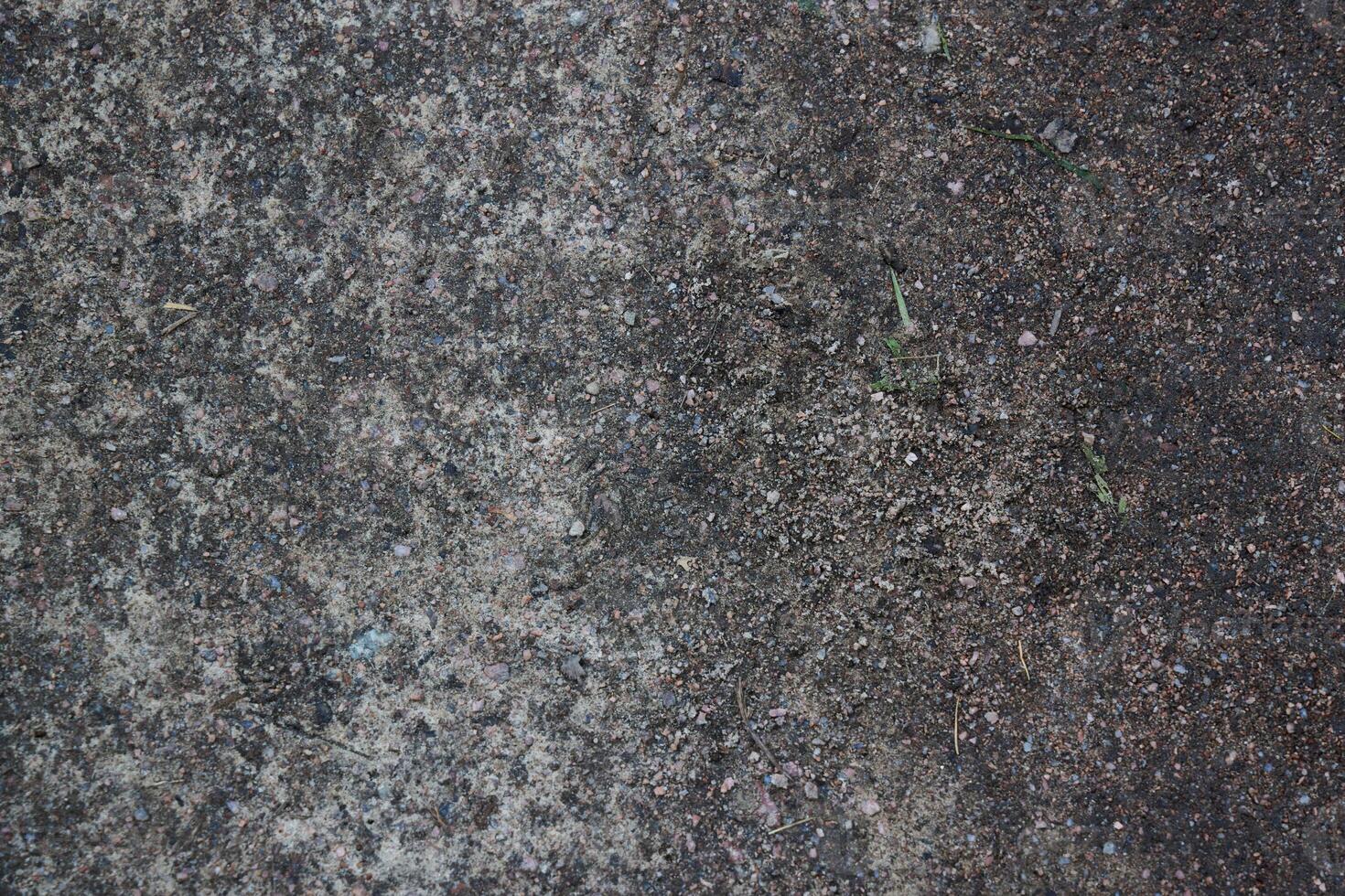 Textured Surface of Ground Featuring Distinct Dark and Light Variations and Patterns photo