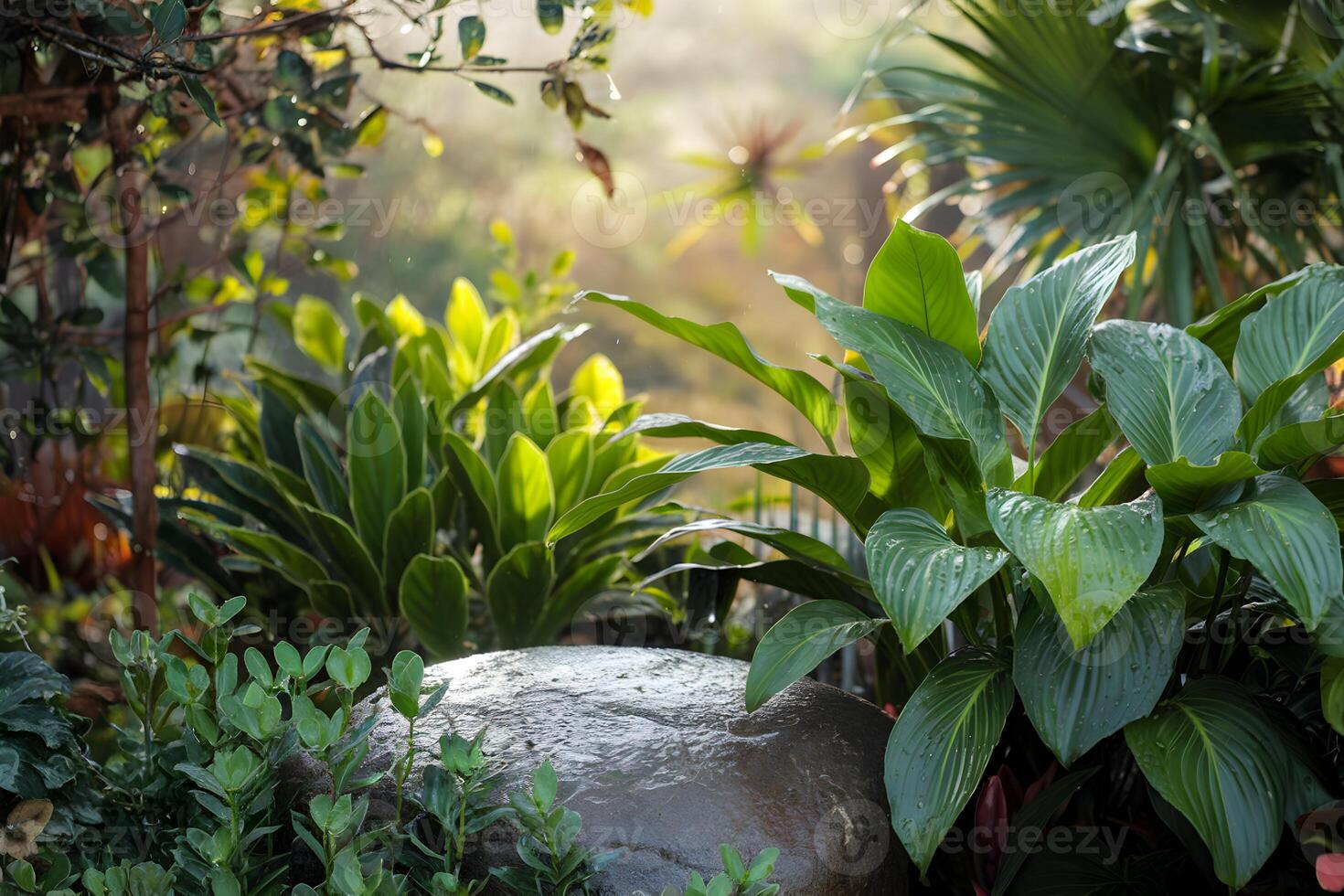 Large stone, lush plants, sunlight filters through, tranquil natural environment photo