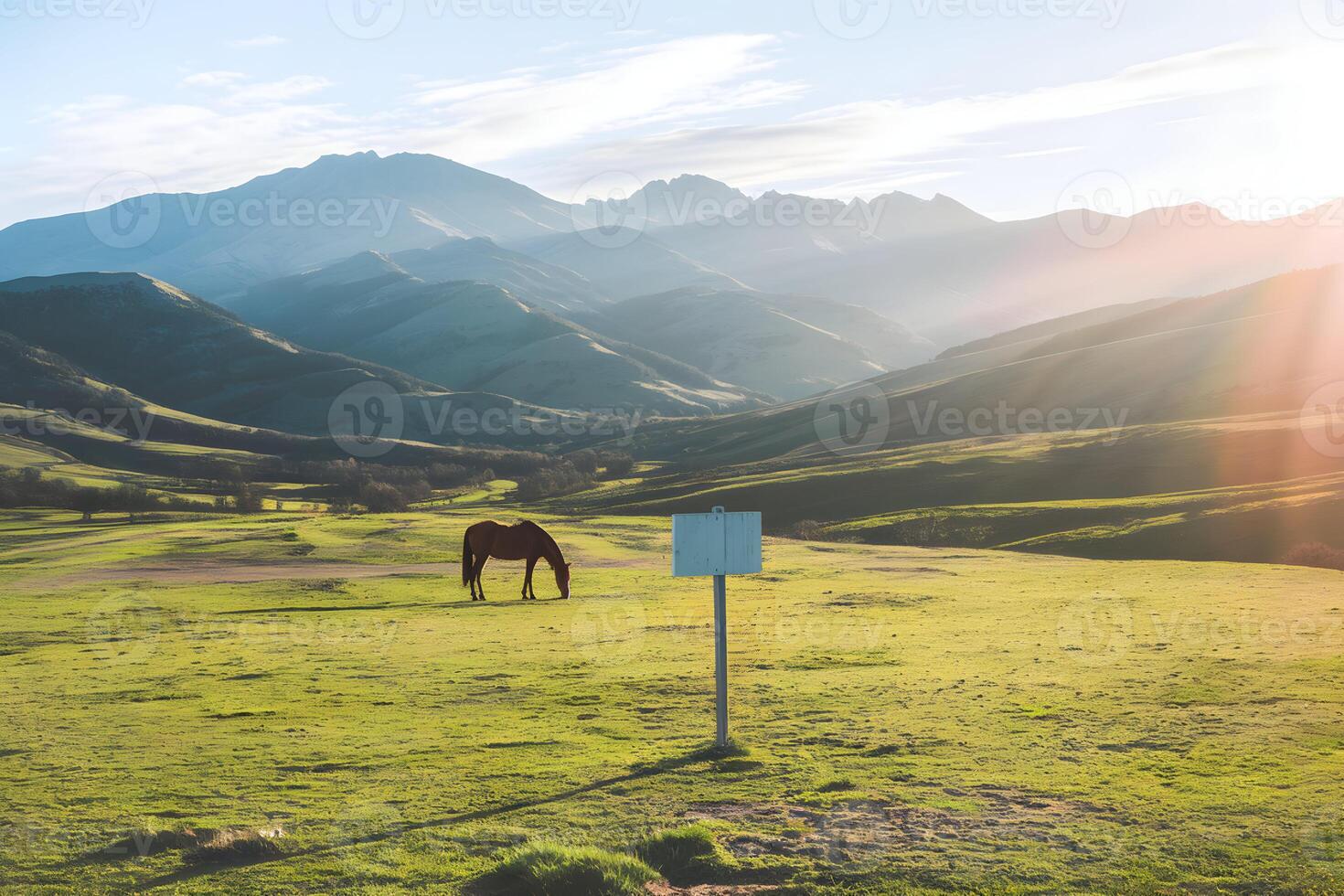 Lone horse grazing in green landscape with rolling hills and bright sky photo