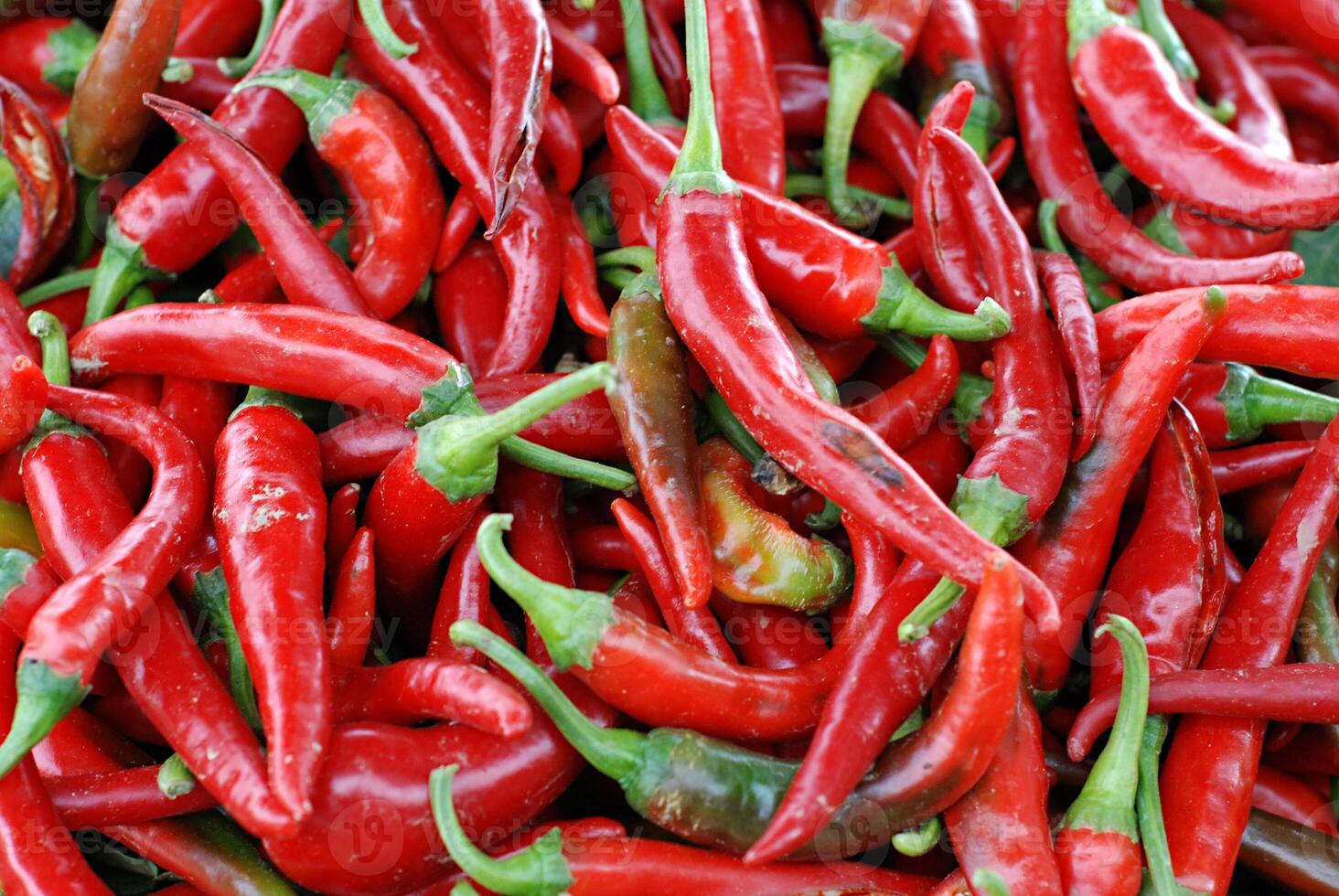 paprika for sale in a farmers market photo