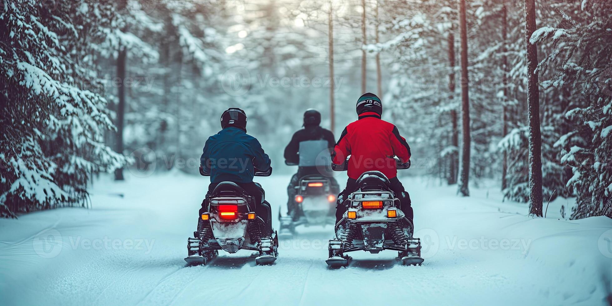 Winter Snowmobiling Adventure in Snowy Forest photo