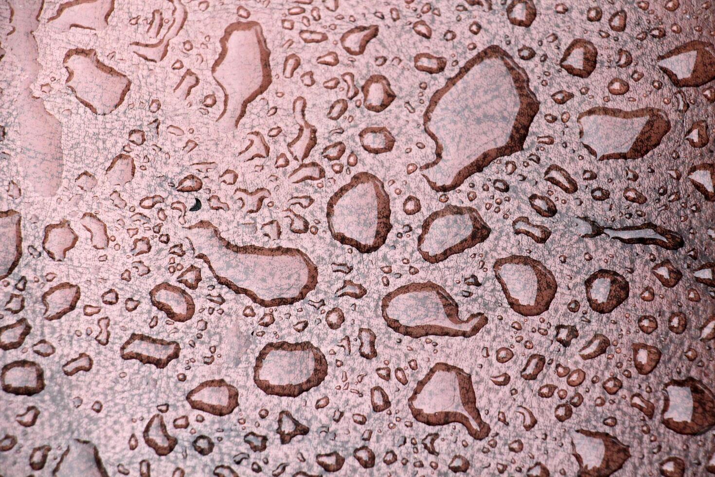 A close up of water droplets on a surface photo