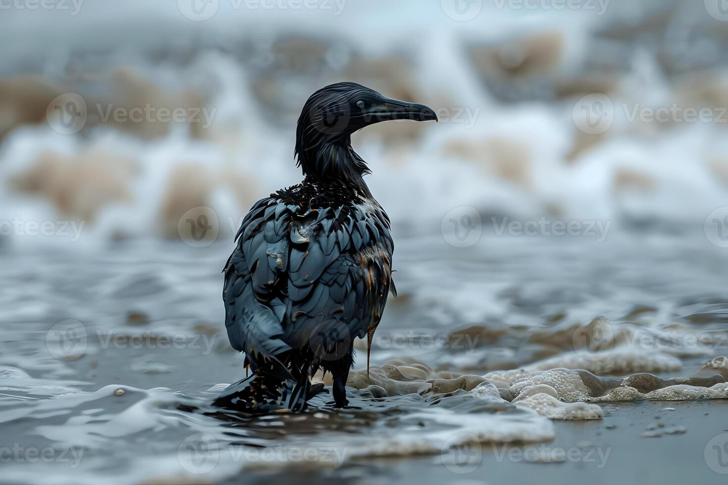 Oil Spill Impact. A Waterbird Struggles to Survive, Feathers Coated in Crude Oil near a Shoreline, Wildlife Conservation Efforts Needed Urgently to Protect Coastal Ecosystems. photo