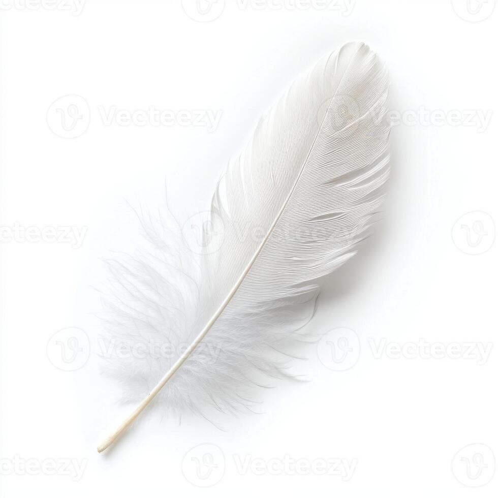 Elegant white feather resting on a clean surface showcasing delicate details and soft textures photo
