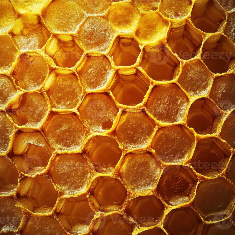 Close examination of honeycomb showcasing intricate patterns and rich golden hues from a beehive in a natural setting photo