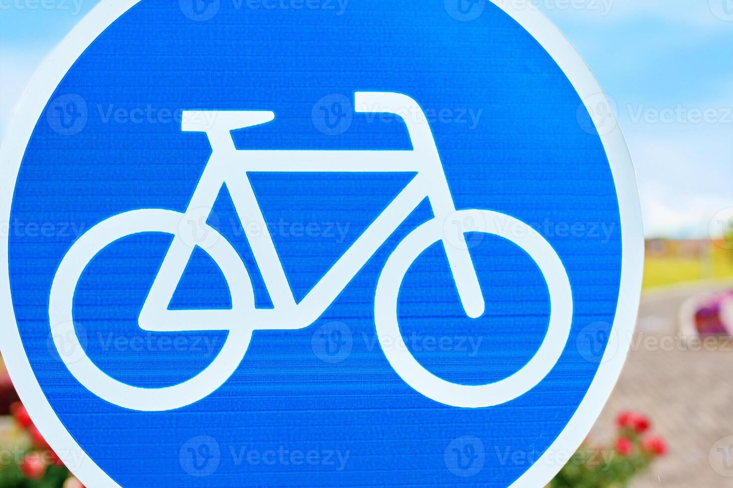 A traffic sign displaying a white bicycle on a blue background is a symbol for bicycle lanes. The azure color pops with the font style, reminding motor vehicles to watch out for cyclists photo