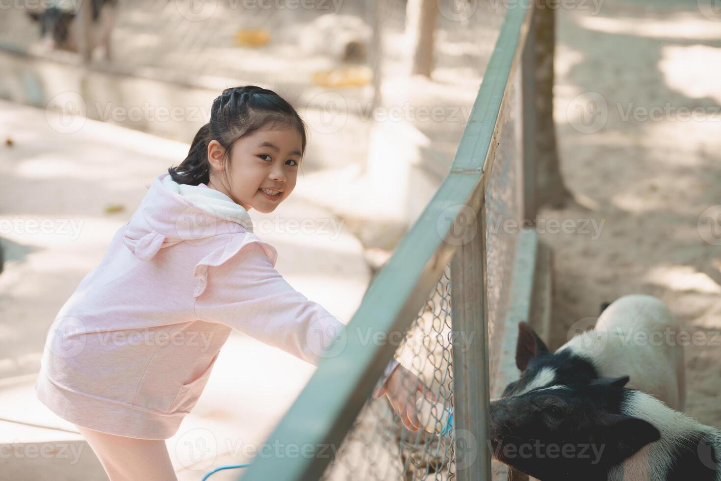 Asian cheerful child enjoys engaging with a pig at a petting zoo, highlighting the joy of learning about animals in a playful and natural environment. photo