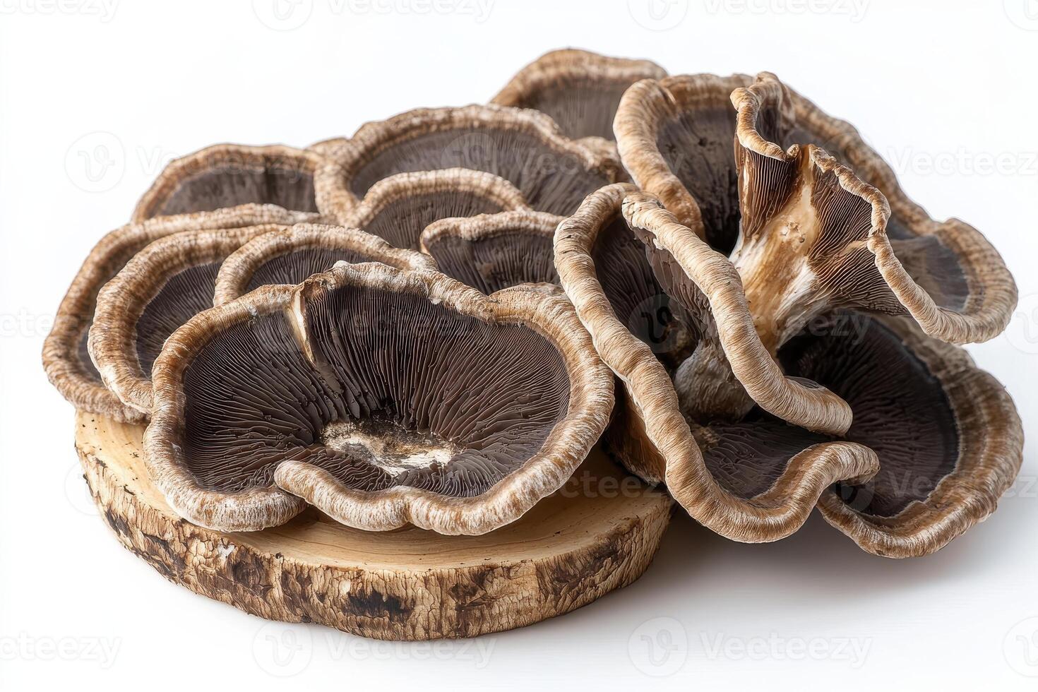 Organic Turkey Tail Mushroom on a White Background for Health and Culinary Use photo