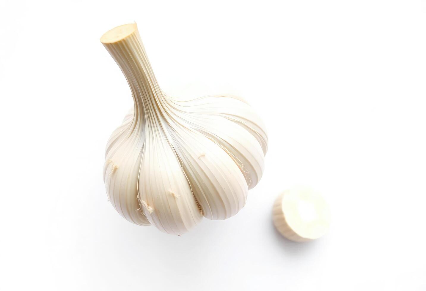 a garlic bulb and a small piece of garlic photo