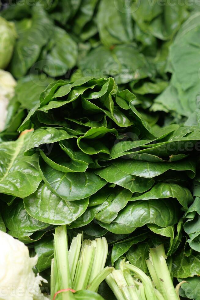 A Vibrant Display of Fresh Spinach and Greens at the Local Marketplace photo