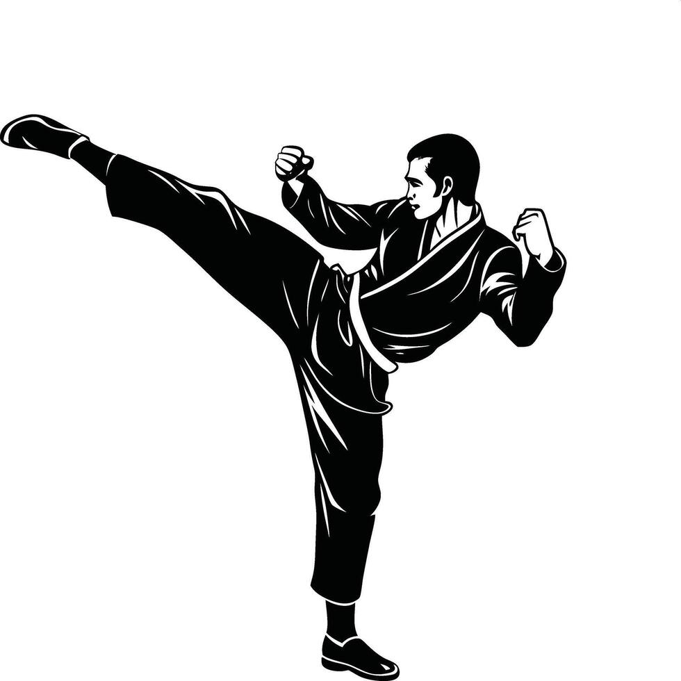 Kung Fu Master in Action Martial Arts Silhouette vector