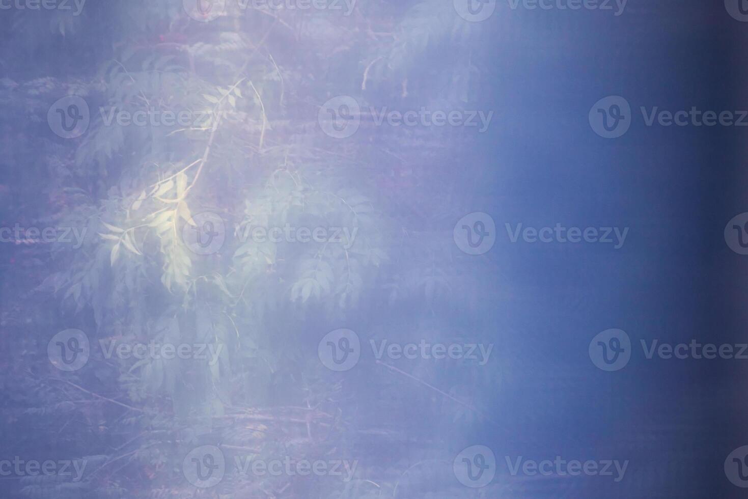 Abstract black shot with leaf shapes and blue color gradient. photo