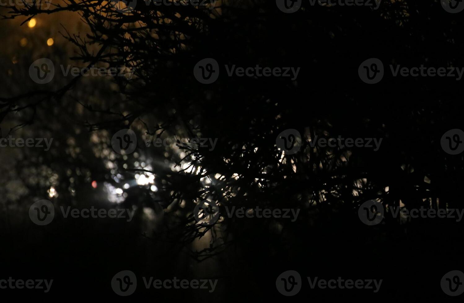 Background with bush in front of street lamps and headlights in the night. photo