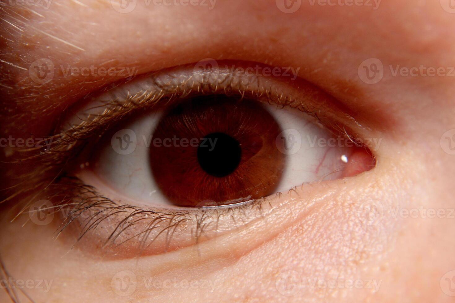 Brown eye close-up with narrow pupil. photo