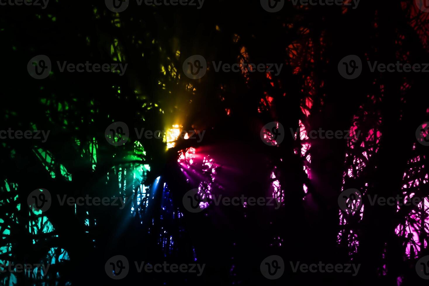 Rainbow colored light in shining through tree in the night. photo