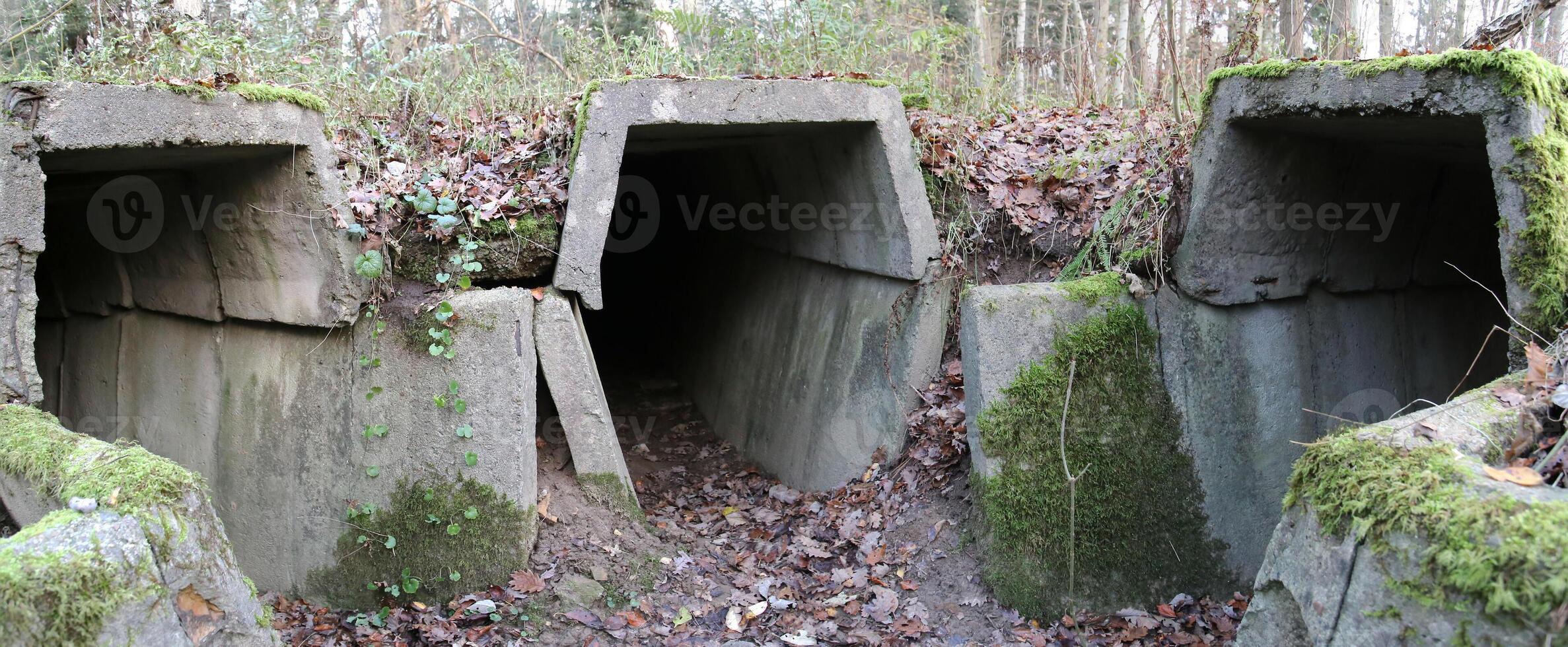 Three entrances in bunker ruins in Mecklenburg-Vorpommern, Germany. photo