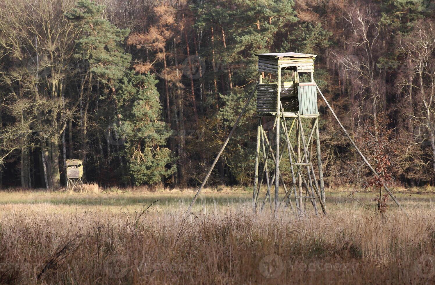 Two high seat in front of autumnal forest in Mecklenburg-Vorpommern, Germany. photo