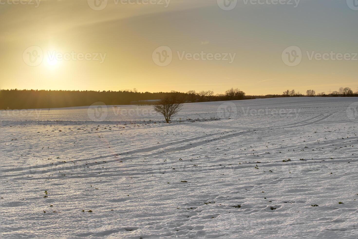 Snowy winter landscape though warmed by the sun The image was taken near Greifswald, Mecklenburg-Vorpommern, Germany, using a HDR imaging technique photo