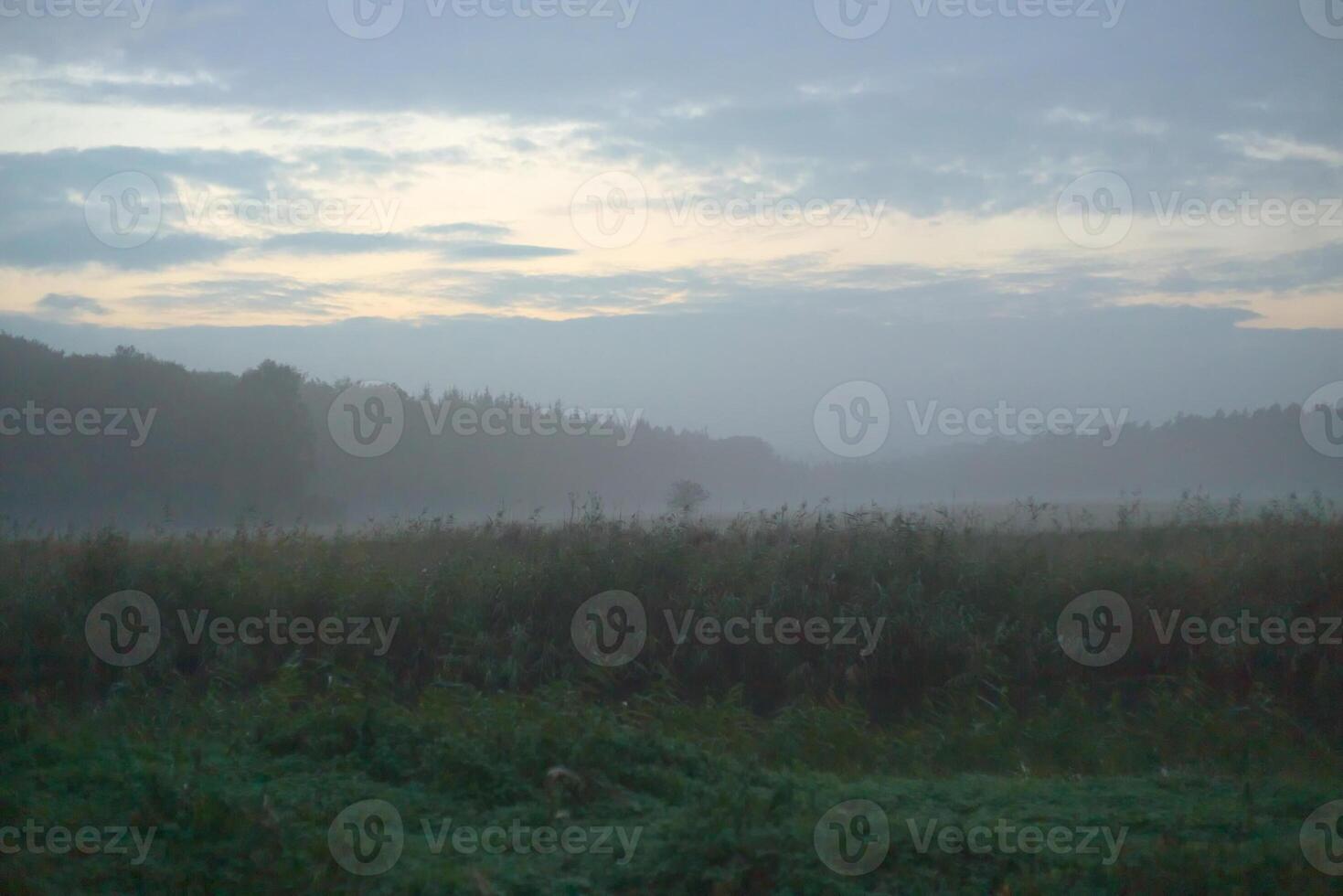 Misty landscape in dusk near Greifswald, Mecklenburg-Vorpommern, Germany. photo