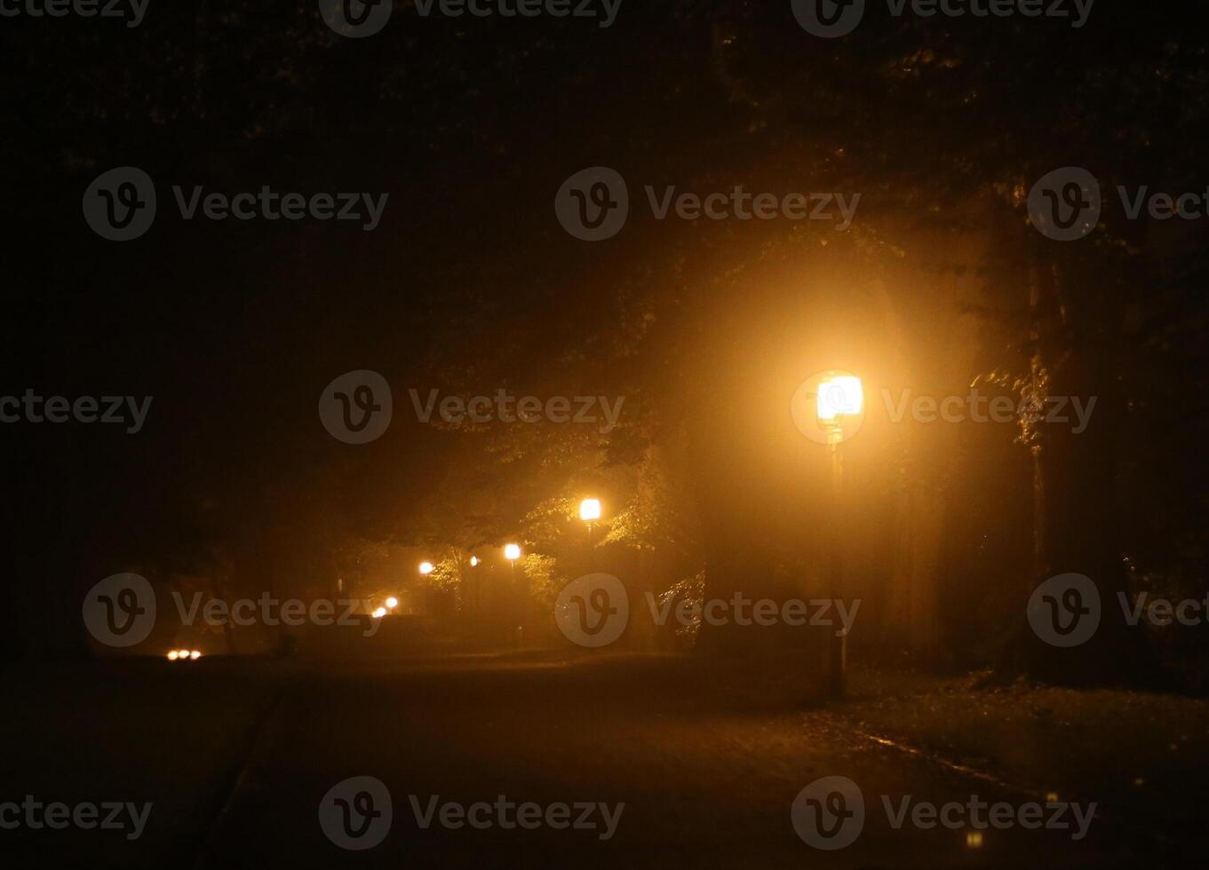 Way on city wall in Greifswald, Mecklenburg-Vorpommern, Germany, covered in fog and mist in the evening. photo