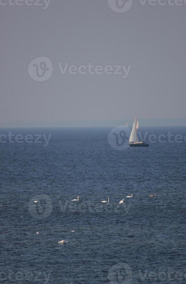 View over the Baltic Sea with swans and sailing ships. photo