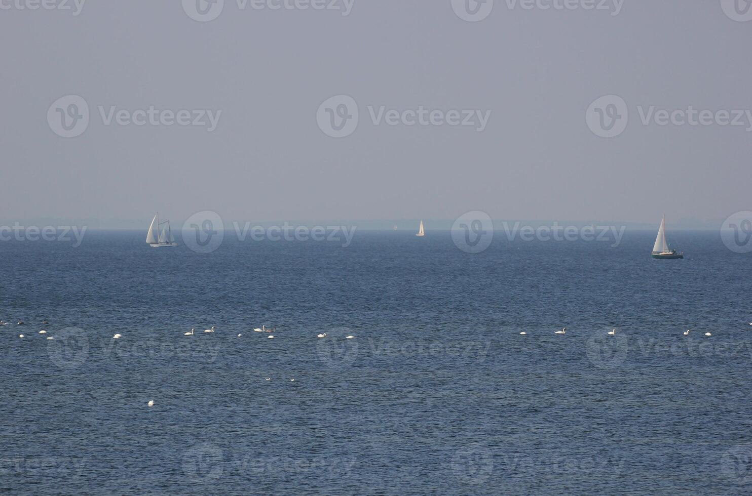 View over the Baltic Sea with swans and sailing ships photo