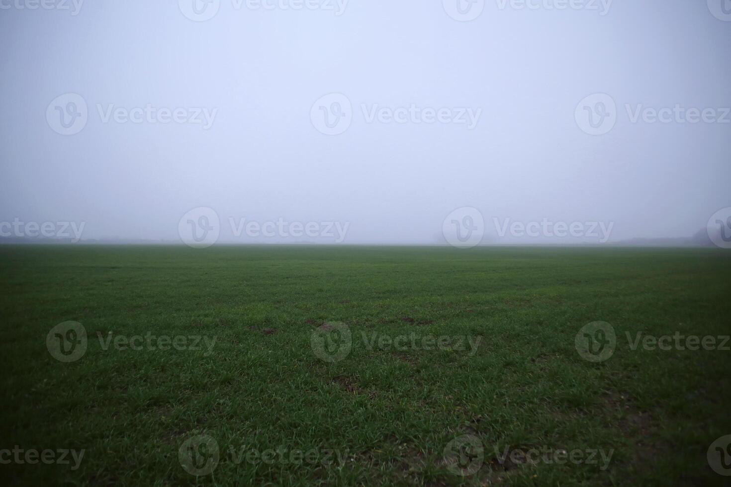 Flat grass field with fog. photo