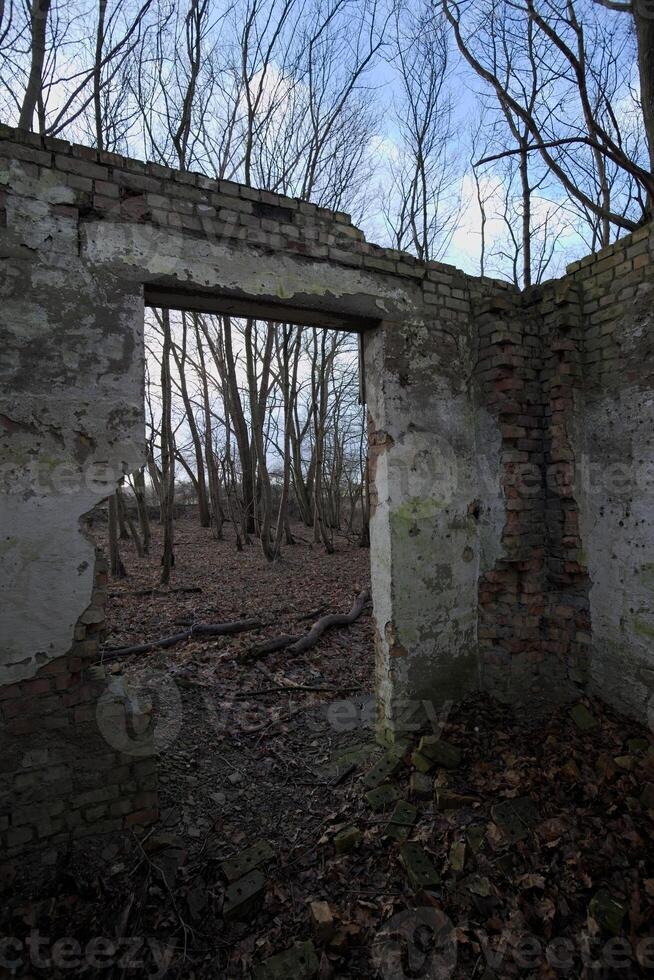 Look through the entrance of a ruined house in the forest with a creative upward perspective including the blue sky. photo