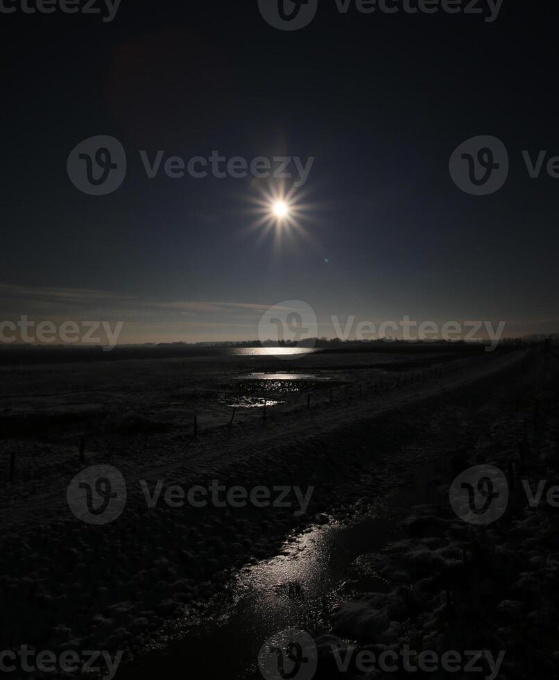 Nature reserve on the Karrendorfer Wiesen near Greifswald, Mecklenburg-Vorpommern, Germany, in winter. The image is underexposed to underline the sunlight. photo