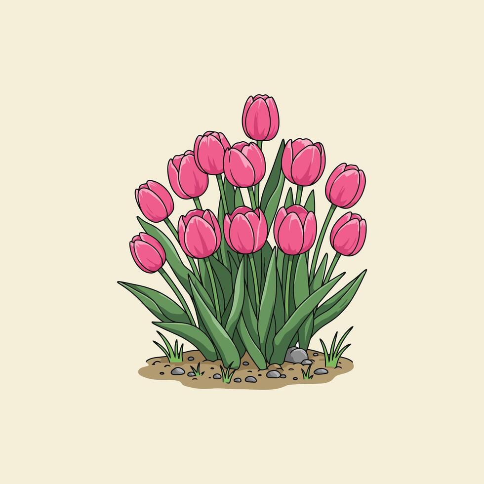 A cartoon illustration depicts a cluster of pink tulips growing in a small garden bed with soil and rocks. vector