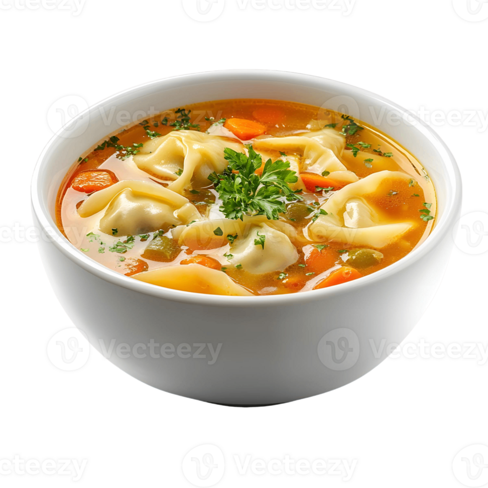 Classic Chinese Wonton Soup for Dinner png