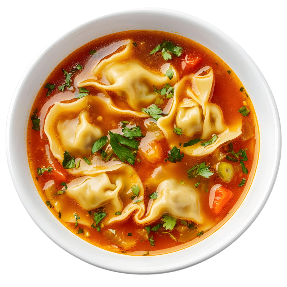 Homemade Wonton Soup in a Ceramic Bowl png