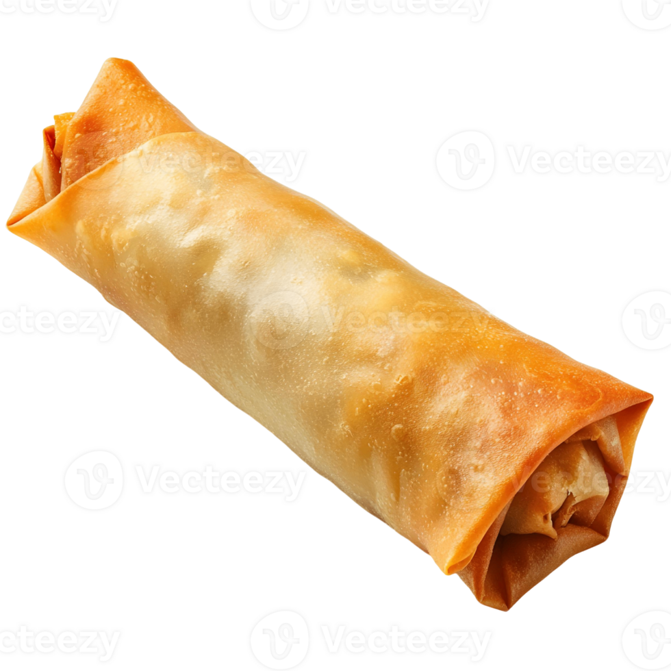 Crunchy Spring Roll with Savory Ingredients png