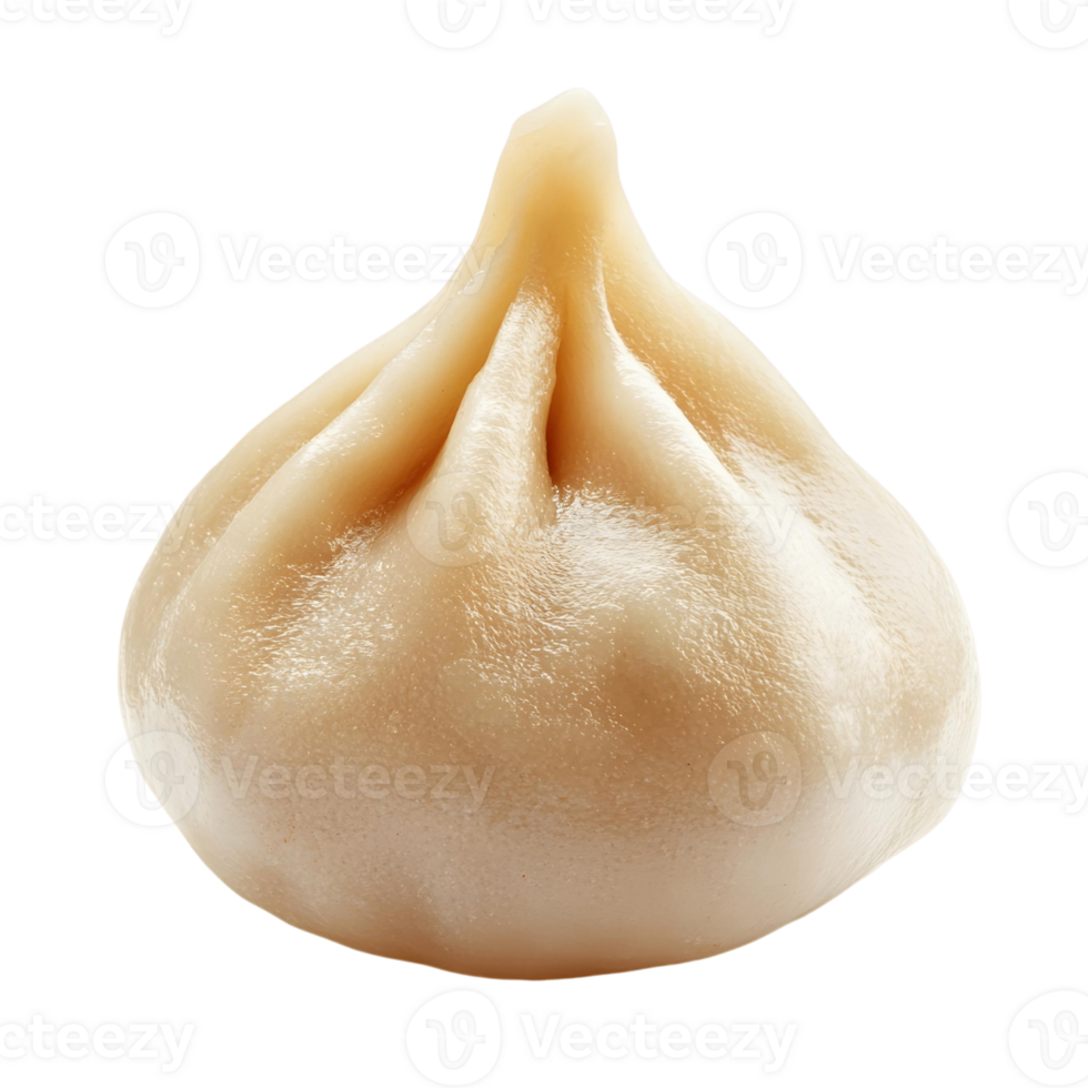 Plump Chinese Dumpling Ready to Serve png