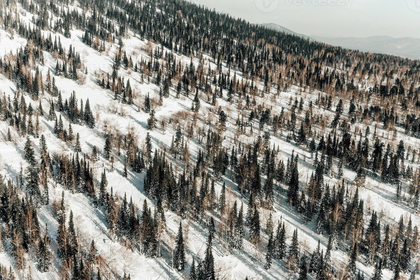 Landscape lovely snowy mountains, mountain range haze winter. Bird's eye view photo