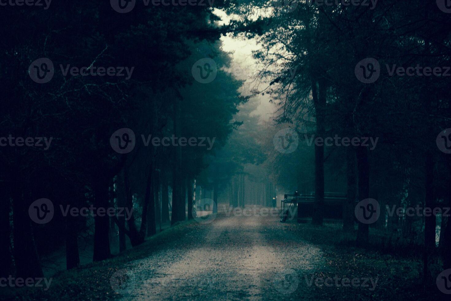 City lovely street cloudy rainy day, deserted little town autumn day, thick fog photo