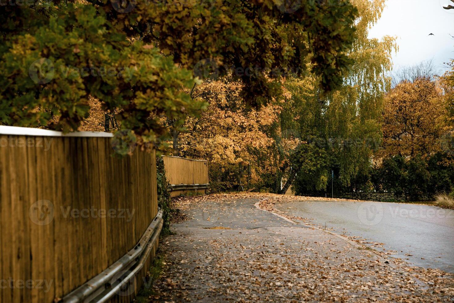City street cute cloudy rainy day, deserted little town autumn day, yellow leaves lie photo