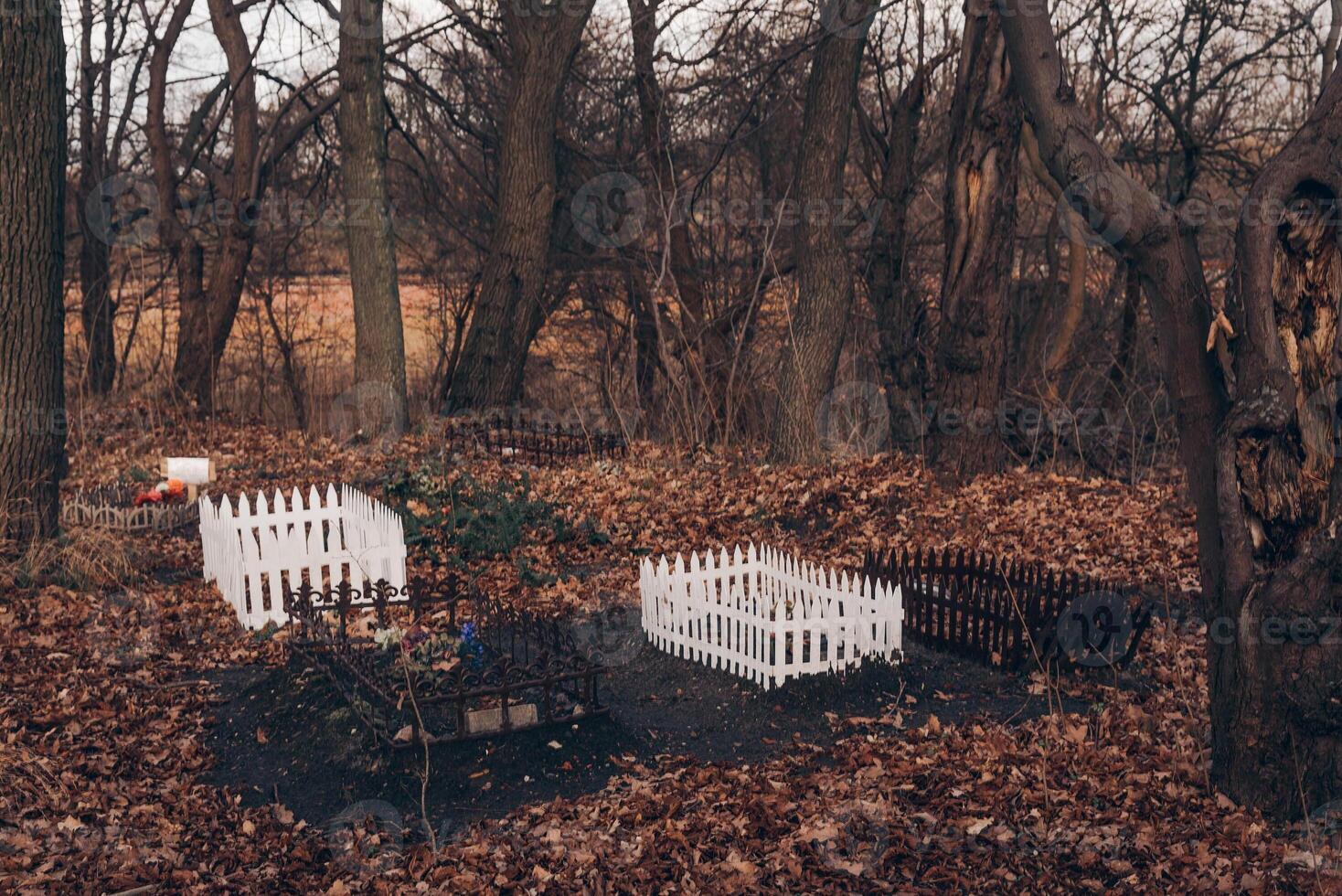 Pet nice cemetery in city forest park, autumn in town, yellow leaves lying photo