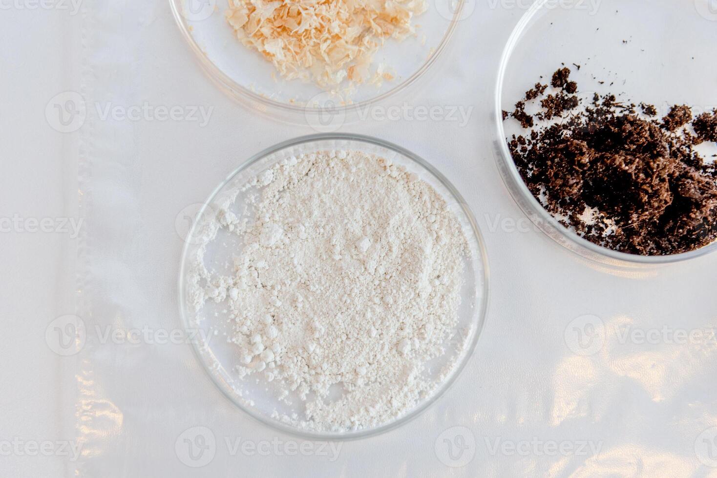 Glass petri dish with soil and chalk on white surface table in laboratory photo
