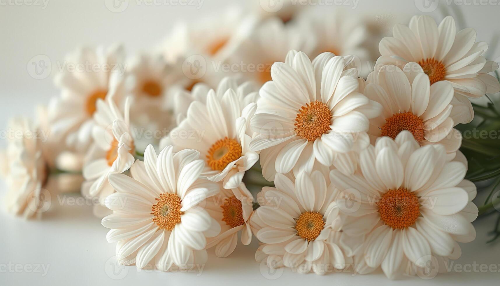 A bouquet of delicate creamy white daisies photo