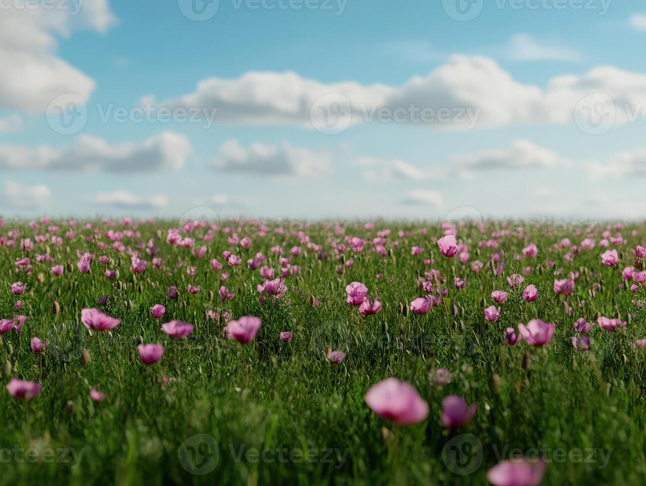 Colorful wildflowers bloom in a sunny field under a clear blue sky photo