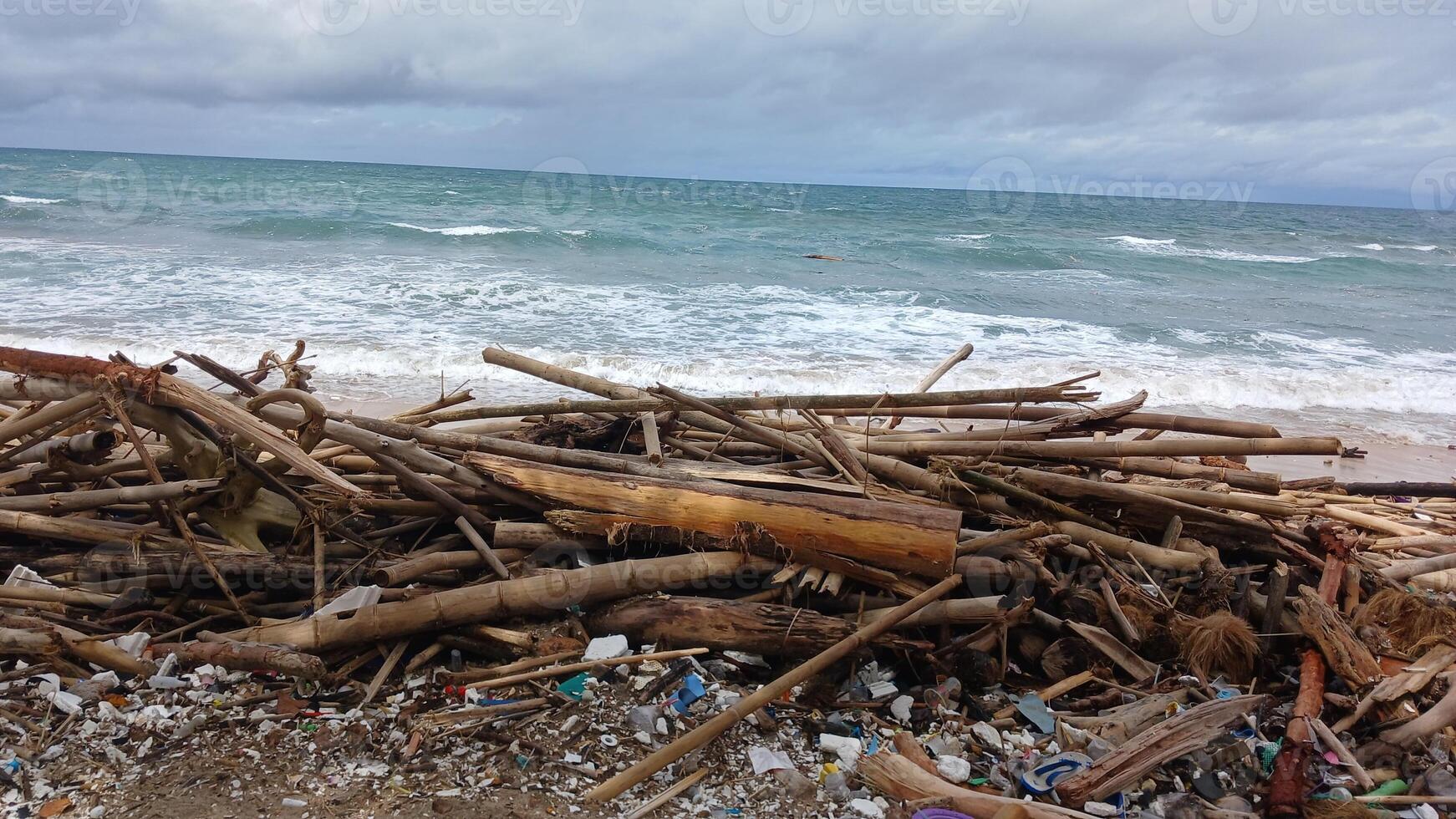 A pile of debris on the beach near the ocean photo