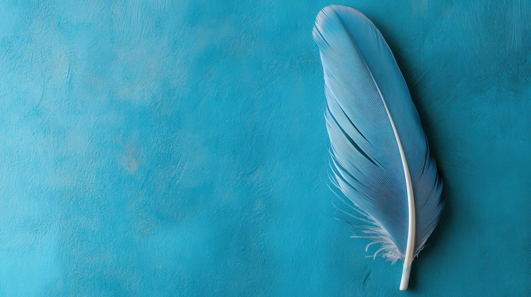 Soft blue feather resting on a vibrant turquoise background adds a touch of elegance to any design concept photo
