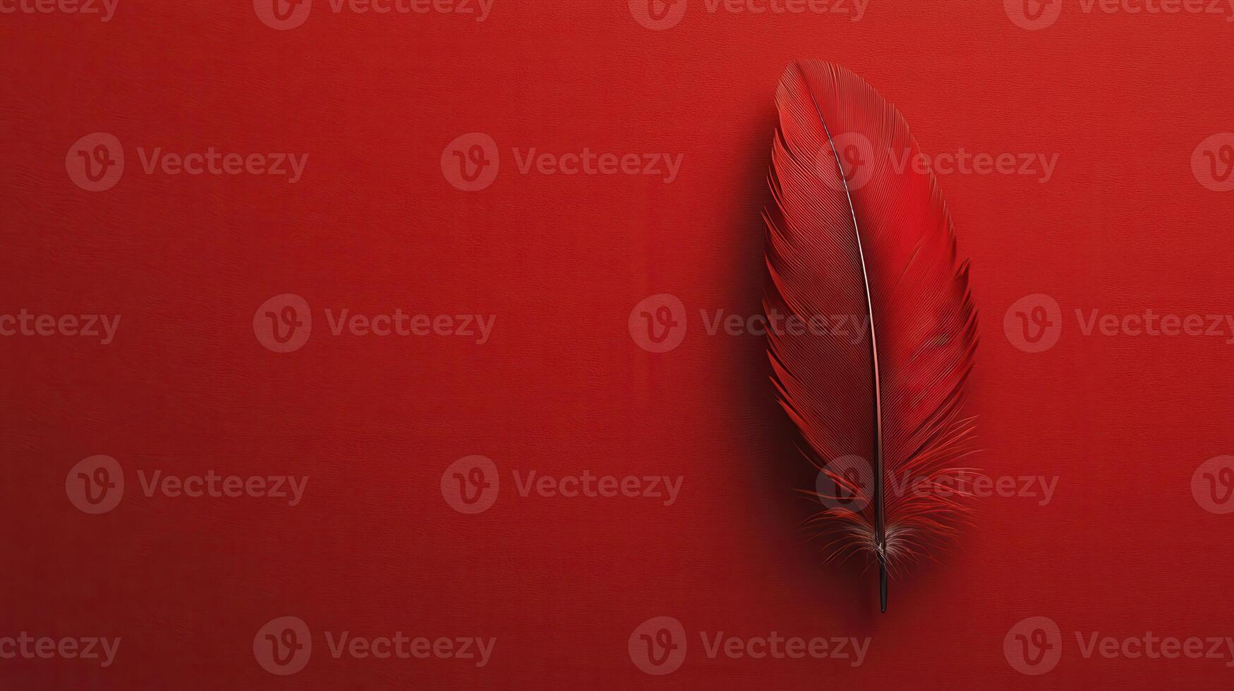 Bright red feather resting against a vivid red background creates a striking monochromatic display photo