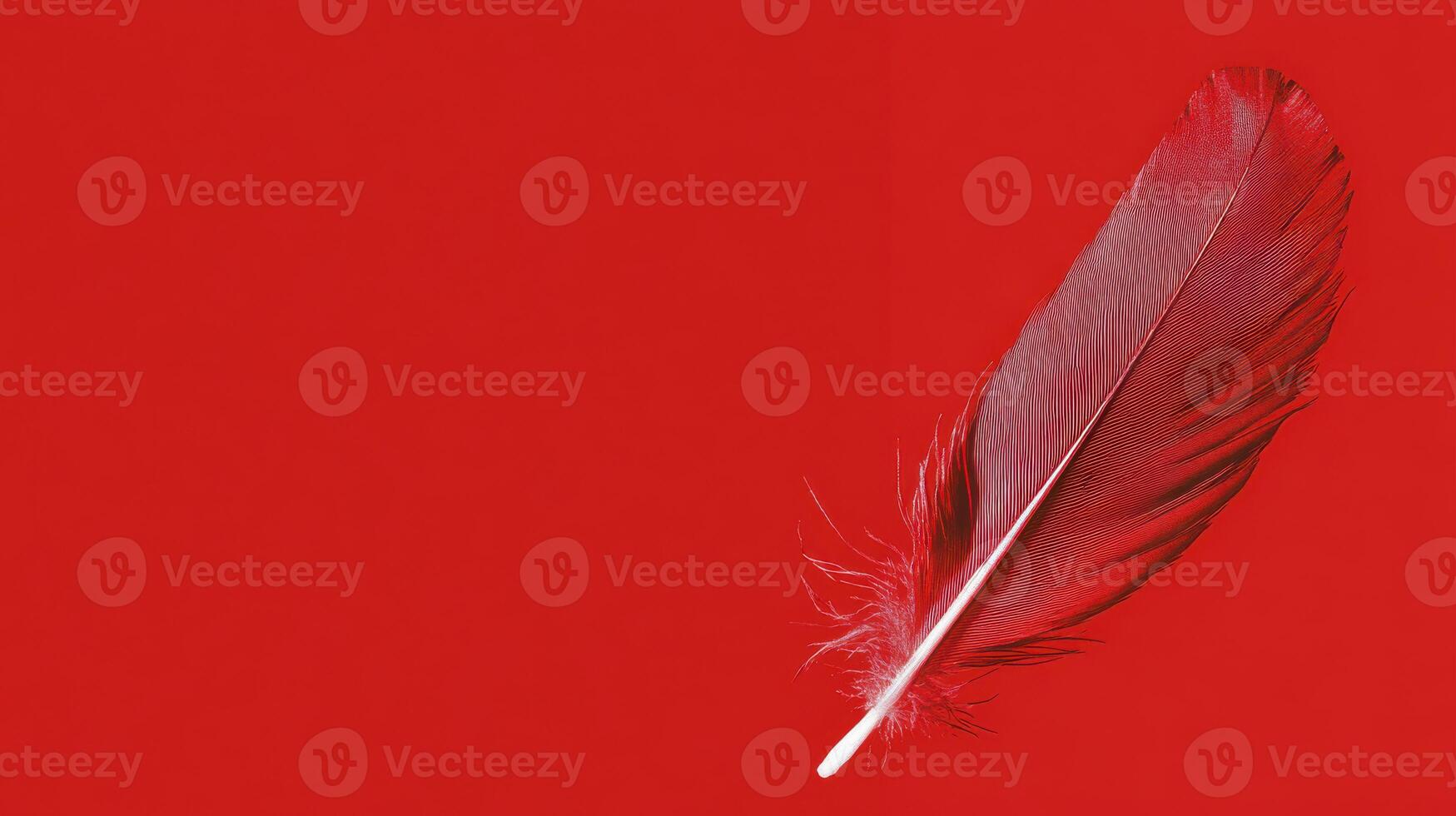 Vibrant red feather against a bold red background highlighting texture and color contrast photo