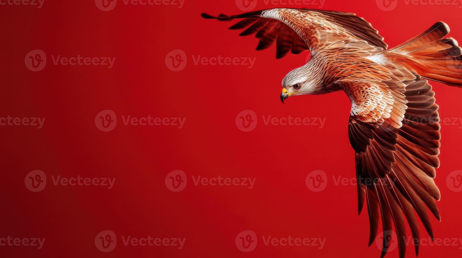 Majestic hawk soaring through a vibrant red sky at sunset, capturing the beauty of nature in motion photo